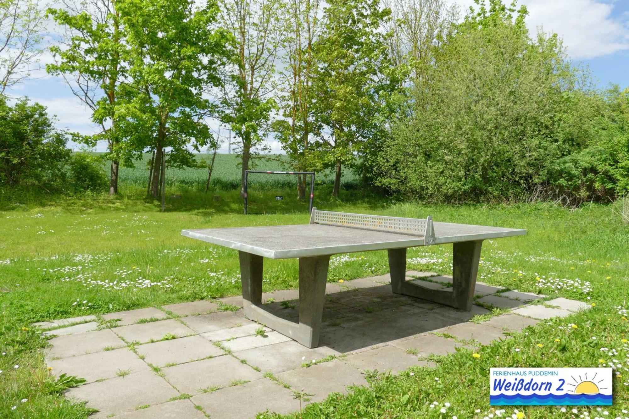 Familienfreundliches Reetdachhaus Weissdorn 2 Villa Puddemin Luaran gambar